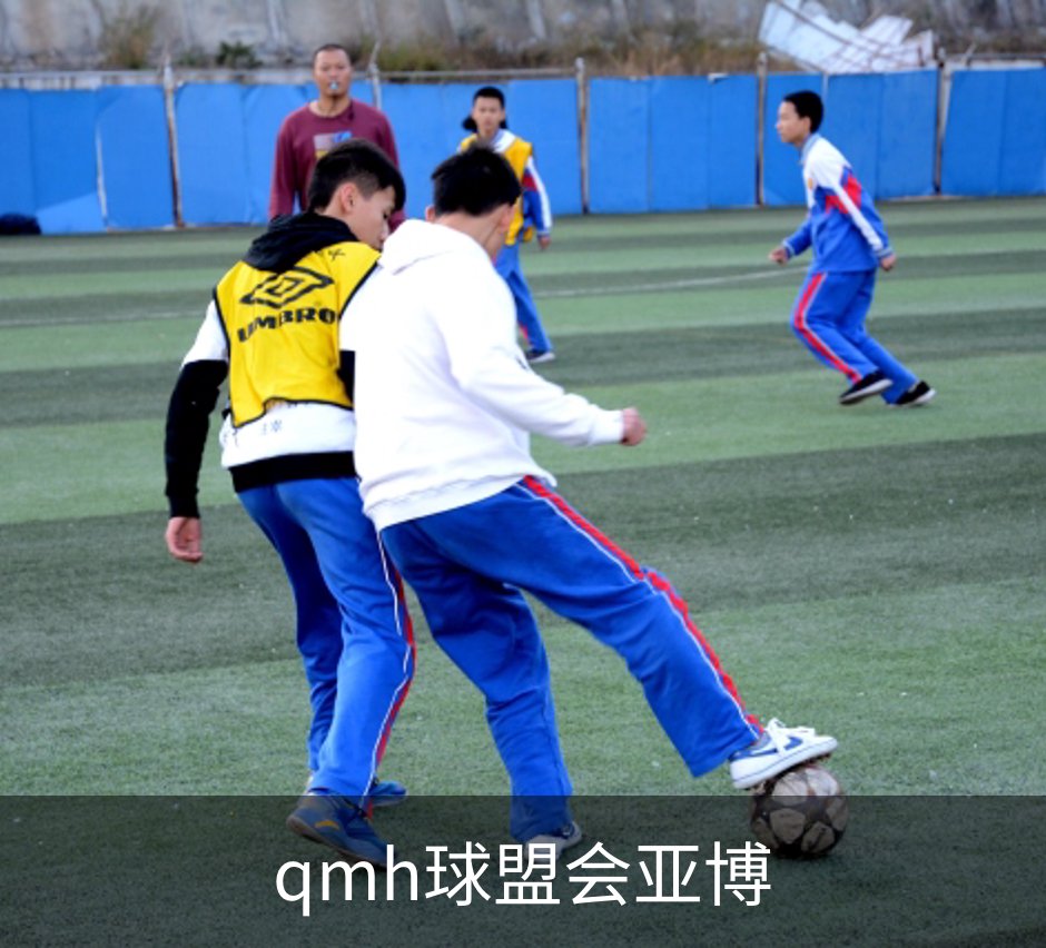 了解qmh球盟会亚博